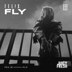Fly