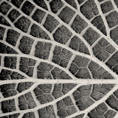 Krimma - Minimal Function