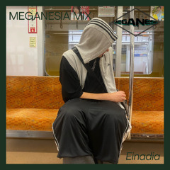 MEGANESIA MIX | Einadia