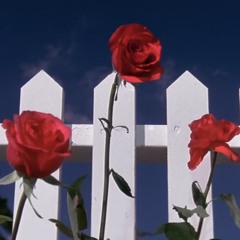 bag song/summer in the 067 [prod. @yunglammyotb]