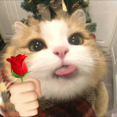 Muộn Rồi Mà Sao Còn ft Đừng Làm Trái Tim Anh Đau