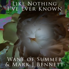 Like Nothing I've Ever Known (Wane of Summer & Mark J Bennett)