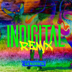 Indigital - Ni santos Ni inocentes REMIX La burrita