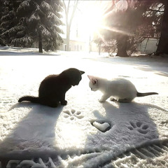 Love Note slowed