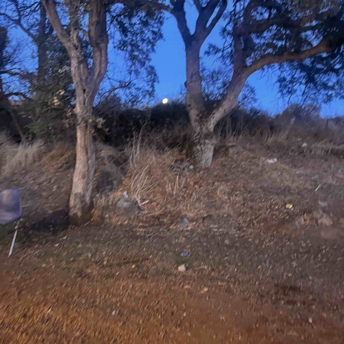GOV (Ft. liott) [Prod. Daniel Lara]
