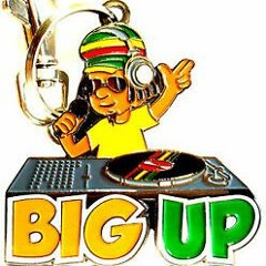 Rub U Dub Rebel Reggae Ragga Jungle Party 2022  Mix Lion'l Riddim