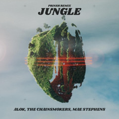 Alok, The Chainsmokers, Mae Stephens - Jungle (PRINSH Remix)