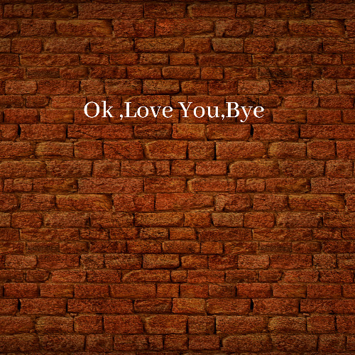 OK, LOVE YOU, BYE - The Midnight Pies