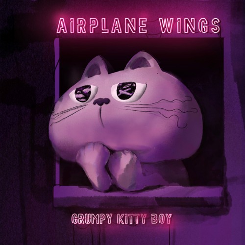 Airplane Wings