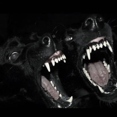 ALIVE OR DEAD (YAWNY)