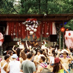 Desert Prince @ Psychedelic Bush Disco Vol. 3