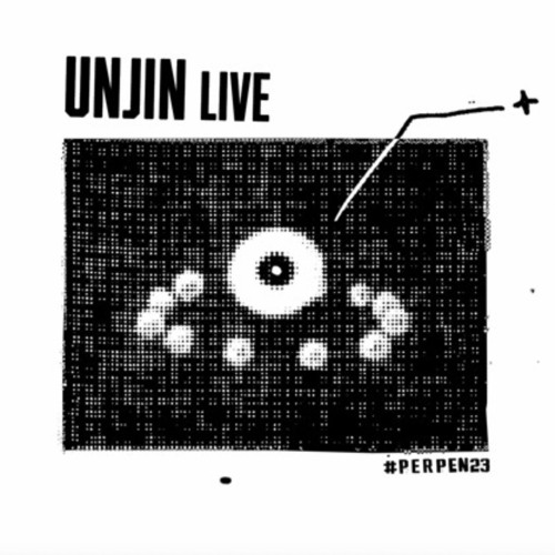 Unjin (live) - Perpendicular2023 - Extract (repost)