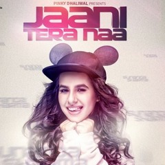 Jaani Tera Naa (Remix)  - DJ Harsh Bhutani & DJ Piyu Feat. Sunanda Sharma