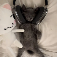 tunes