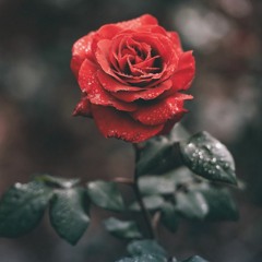 Forget About You