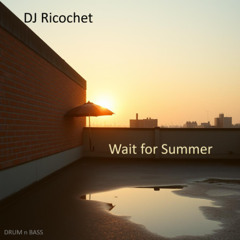 Wait for Summer DRUM n BASS