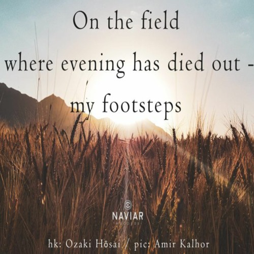 On The Field  (Naviarhaiku 448 )