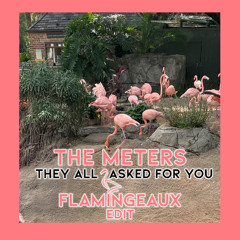They All Asked For You (Flamingeaux Edit)