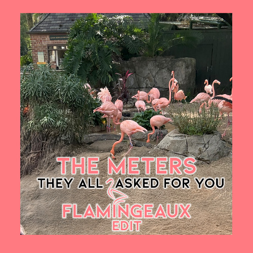 They All Asked For You (Flamingeaux Edit)