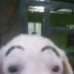 SUPREME KK Slider Songs