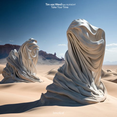 Tim van Werd, ALLKNIGHT - Take Your Time