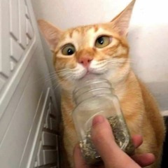 50%EXCITED&50%EXHAUSTED