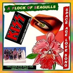 Flock Of Seagulls vs. KISS - I Was Made For Space Age (WhiLLThriLLMiX)