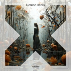 Demoe Beats - Venture