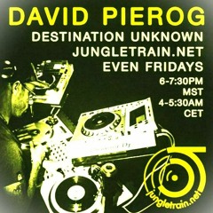 DavidP Pierog -  Destination Unknown
