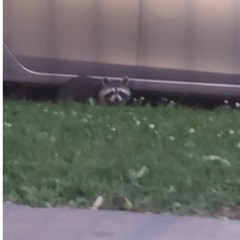 dont look ft. saltlick (prod. out of phase き宇ラ)