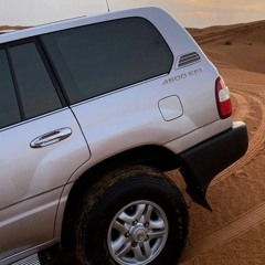 شمس حبي