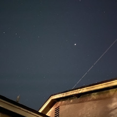 Cannabis, Hops & Chopps