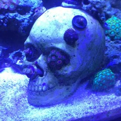 Messing Around 7 - 8