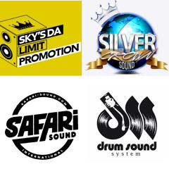 Box4Box Dubplate Showcase featuring Safari Sound (SWE) Silver Crown Sound (USA) Drum Sound (FR)
