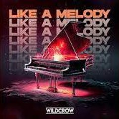 Wildcrow - Like A Melody (Donkey Tae Remix)