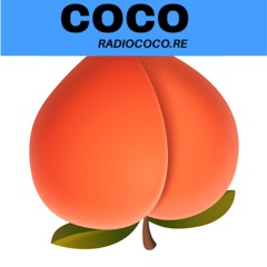 Coco Fesse - épisode 5, contraception masculine : le choix de Sébastien