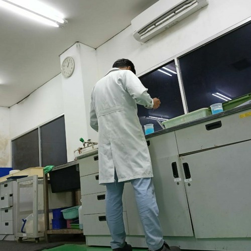 Stream Dj Mengapa Mudahnya Hatimu Mendua Breakbeat Viral Tiktok