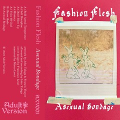 PREMIERE : Fashion Flesh - Don't Blow Up