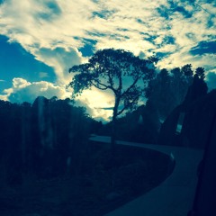 olengrull a rchad ali.wav