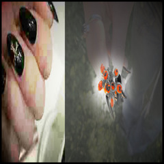 MYWRLD