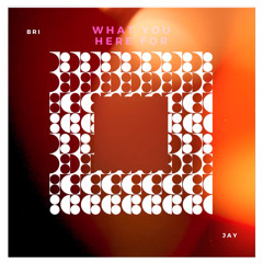 bri jay-what you here for