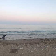 feel lyk (prod. 13en)