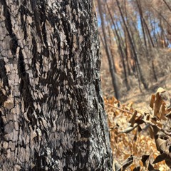 From Darkness To Light - sunrise goa set