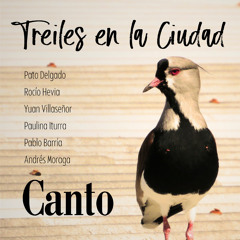 Canto