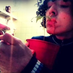 No Entiendo Un Bledo (piola)