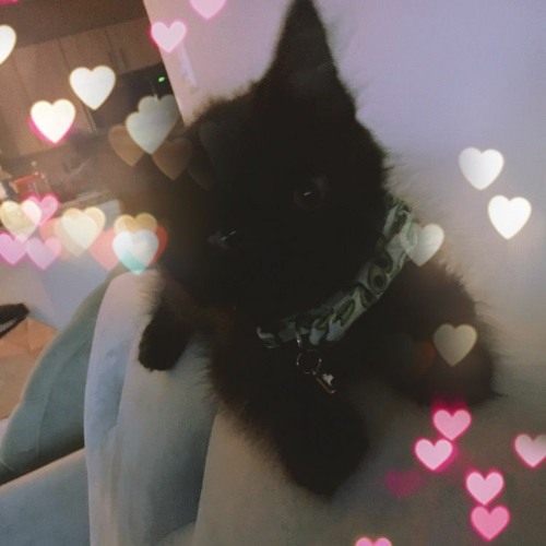 MORGUE - Sweet Tooth (Mykey)