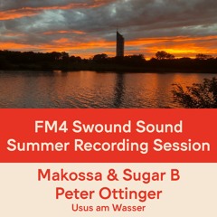 FM4 Swound Sound #1405