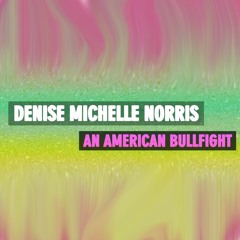 Denise Michelle Norris - An American Bullfight