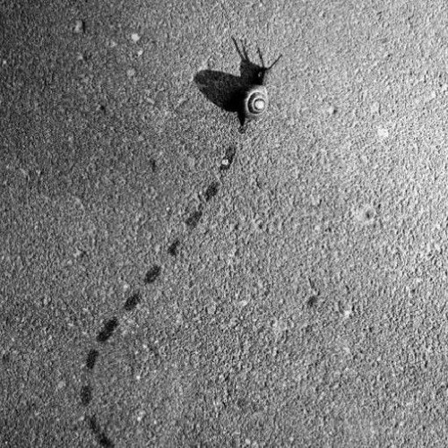 Nikolay Paramzin - Milky Way