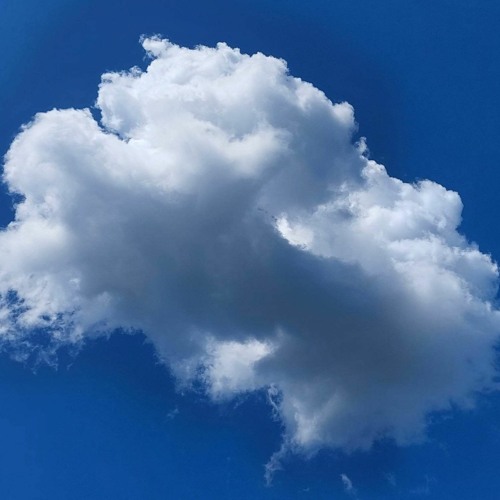 Digiyal Bionics - Beats On Tap - 19th - March - 2023 - Free Download